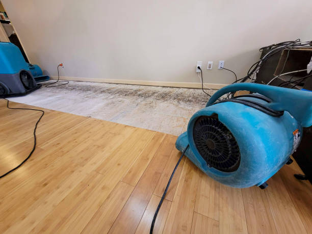 Professional Basement Flood Cleanup technician working in Horace, ND